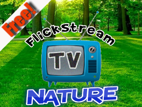 Flickstream TV Nature